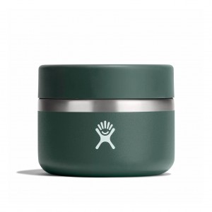 Hydro Flask 12 oz Insulated Food Jar Food Jars Fir | 97LGOEHSC