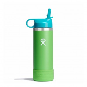 Hydro Flask 18 oz Kids Wide Mouth w/ Straw Cap Bottles Grass | 02SCTQLNB