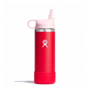 Hydro Flask 18 oz Kids Wide Mouth w/ Straw Cap Bottles Goji | 87UMKSIBY