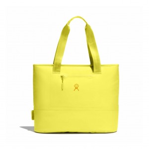Hydro Flask 20 L Insulated Tote Insulated Totes Cactus | 15QHICJEK