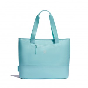 Hydro Flask 20 L Insulated Tote Insulated Totes Alpine | 10CIPEVAY