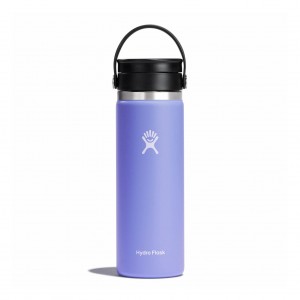 Hydro Flask 20 oz Coffee with Flex Sip Lid Coffee & Tea Lupine | 53IJHVEKR