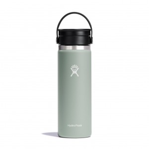 Hydro Flask 20 oz Coffee with Flex Sip Lid Coffee & Tea Agave | 74NQYKXIV