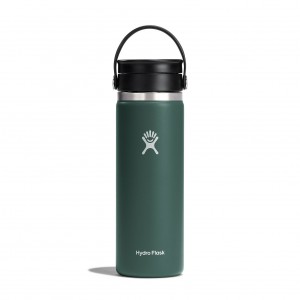 Hydro Flask 20 oz Coffee with Flex Sip Lid Coffee & Tea Fir | 10XWLNROV