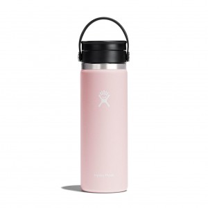 Hydro Flask 20 oz Coffee with Flex Sip Lid Coffee & Tea Trillium | 84WGCZHUF