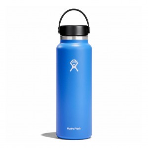 Hydro Flask 20 oz Wide Mouth Bottles Cascade | 30ENUBLFQ