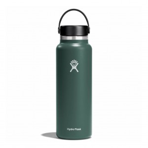 Hydro Flask 20 oz Wide Mouth Bottles Fir | 97UOPLJZB