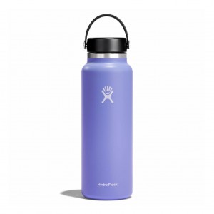 Hydro Flask 20 oz Wide Mouth Bottles Lupine | 62ZECMDHT