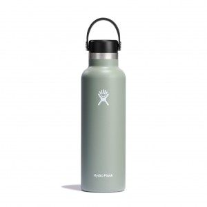 Hydro Flask 21 oz Standard Mouth Bottles Agave | 23KGLUYDO