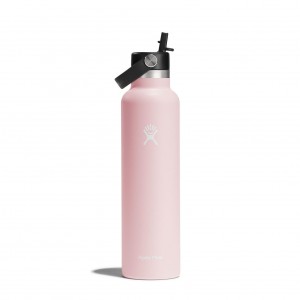 Hydro Flask 24 oz Standard Mouth with Flex Straw Cap Bottles Trillium | 81NZJVOHX