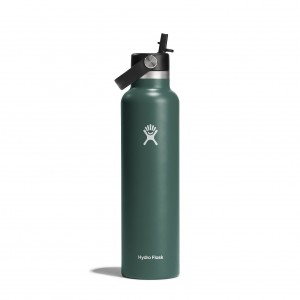 Hydro Flask 24 oz Standard Mouth with Flex Straw Cap Bottles Fir | 53APFJGZM