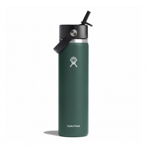 Hydro Flask 24 oz Wide Mouth with Flex Straw Cap Bottles Fir | 06GATBMID