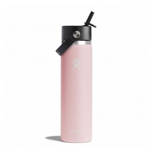 Hydro Flask 24 oz Wide Mouth with Flex Straw Cap Bottles Trillium | 48BLEDPYT