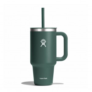 Hydro Flask 32 oz All Around Travel Tumbler Travel Tumbler Fir | 39YVJKTHS