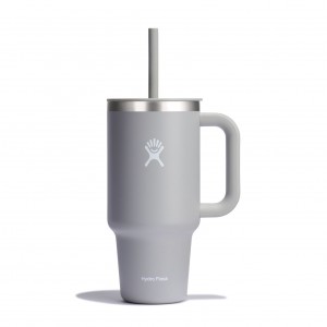 Hydro Flask 32 oz All Around Travel Tumbler Travel Tumbler Birch | 31TENBRVG