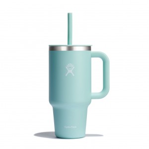 Hydro Flask 32 oz All Around Travel Tumbler Travel Tumbler Dew | 40ZFJBPIE