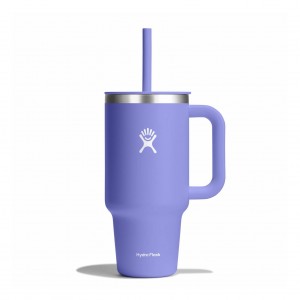 Hydro Flask 32 oz All Around Travel Tumbler Travel Tumbler Lupine | 31PSCXDVT
