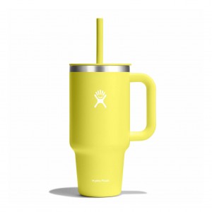 Hydro Flask 32 oz All Around Travel Tumbler Travel Tumbler Cactus | 73WLUMOZJ