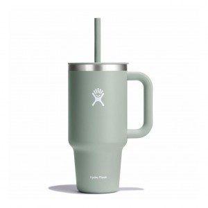 Hydro Flask 32 oz All Around Travel Tumbler Travel Tumbler Agave | 79YRIQLKU