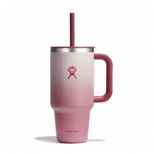 Hydro Flask 32 oz All Around Travel Tumbler Travel Tumbler Bayberry Ombre | 69CNKHBLY