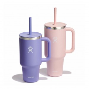 Hydro Flask 32oz/42oz Hydration Handled Bundle Bundles | 74ODLUENS