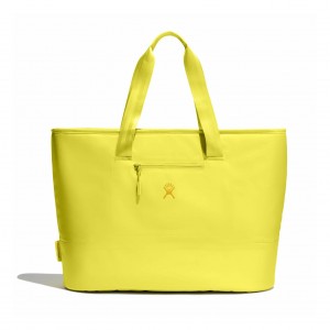 Hydro Flask 35 L Insulated Tote Insulated Totes Cactus | 50FRONQCT