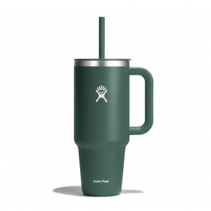 Hydro Flask 40 oz All Around Travel Tumbler Travel Tumbler Fir | 46KYSCVFM