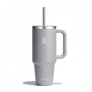 Hydro Flask 40 oz All Around Travel Tumbler Travel Tumbler Birch | 21ASNZBHO