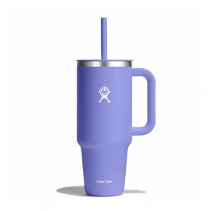 Hydro Flask 40 oz All Around Travel Tumbler Travel Tumbler Lupine | 95DJFQGZR