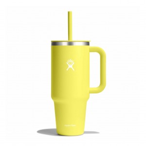 Hydro Flask 40 oz All Around Travel Tumbler Travel Tumbler Cactus | 24EADWNZC