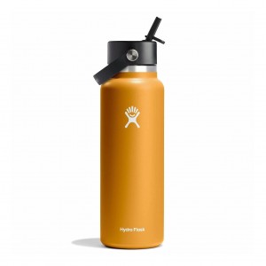 Hydro Flask 40 oz Wide Mouth with Flex Straw Cap Bottles Fossil | 98GOXSRLQ