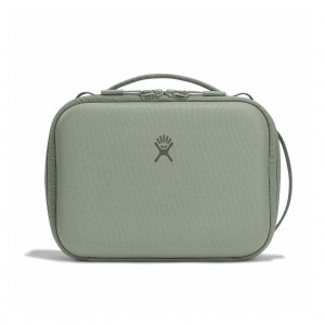 Hydro Flask 5 L Carry Out Lunch Box Lunch Boxes Agave | 94JDPLEXZ