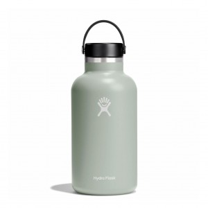 Hydro Flask 64 oz Wide Mouth Bottles Agave | 07FWGVYQP
