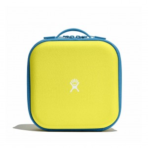 Hydro Flask Kids Insulated Lunch Box Lunch Boxes Cactus | 91JREOVCX