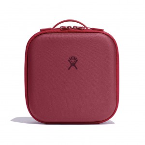 Hydro Flask Small Lunch Box Lunch Boxes Berry | 29JZCFQBO